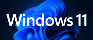 Toon Blast for Windows 11